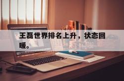 海星体育在线娱乐-王磊世界排名上升，状态回暖。