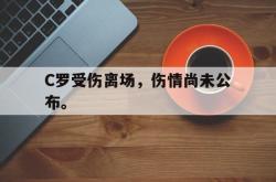 海星体育入口-C罗受伤离场，伤情尚未公布。